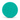 5" Polishing Pad – Heavy Cut