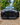 Audi A7 C8 Front Splitter — 4K S7 S Line V1