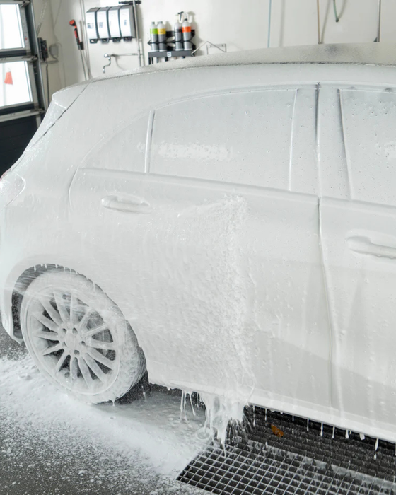 Gentle Snow Foam