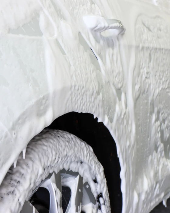 Gentle Snow Foam